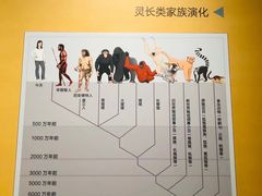 -柳州白莲洞洞穴科学博物馆
