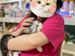 -宠伴小精灵宠物店(鼓楼店)