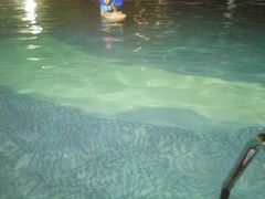 -橡树湾小区游泳馆(橡树湾1期店)