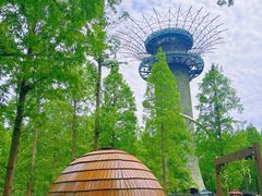 -黄海国家森林公园