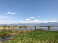 -西昌邛海湿地