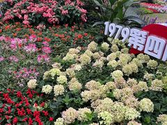 -海心沙亚运公园