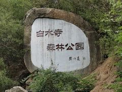 -白水寺森林公园