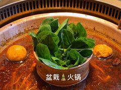 -小南房鲜美蛙火锅(北苑店)