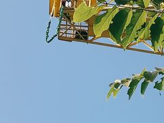 -长鹿旅游休博园