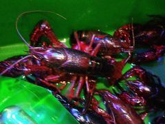 -异特麻辣香锅·烤鱼(怀柔店)