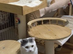 -美联众合动物医院·24h转诊中心