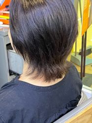 点击看大图 -藤野造型