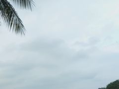 -万绿园
