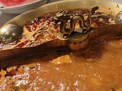 -小龙翻大江文化火锅(宽窄店)