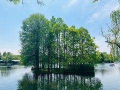 -上海共青森林公园