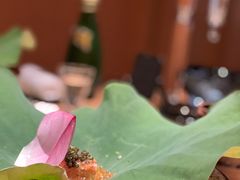 -炎橘·板前料理 Omakase