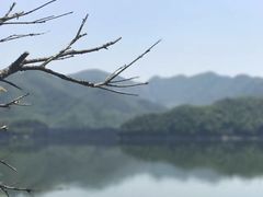 -溪口-滕头旅游景区