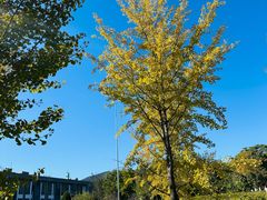 -国家植物园南园