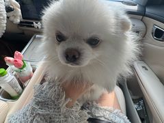 -大碗面(长寿路店)