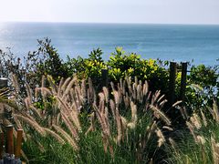 -Rock Bar Bali(Bali)