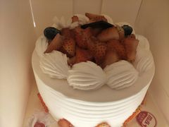 -幸福鸟动物奶油生日蛋糕(军校店)