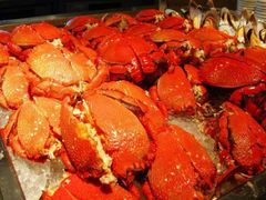 -厦门艾美酒店·新食谱西餐厅