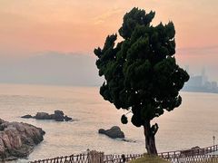 -小麦岛公园