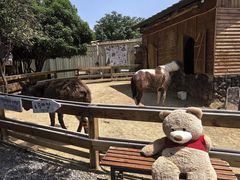 -HERRE·FARM 赫尔露营农场·团建聚会包场