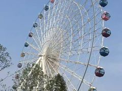-琴岛之星摩天轮