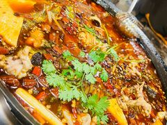 -鸿顺老铁锅美蛙鱼府(解放碑店)