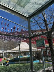 -萌宠亲子动物乐园(槐房万达店)