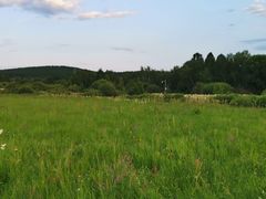 -塞罕坝国家级自然保护区