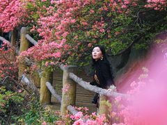 -木兰云雾山