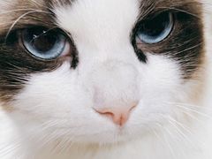 -零纪元VR体验馆·桌游(黄浦店)