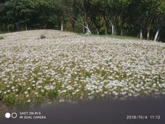 -白塘生态植物园