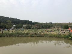 -牛岗山公园