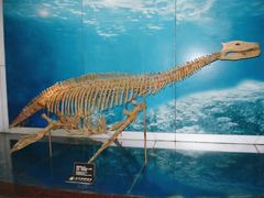 -自贡恐龙博物馆