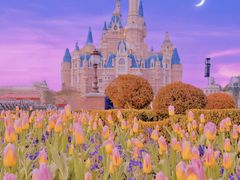 -上海迪士尼度假区