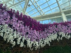 -石家庄市植物园