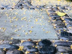 -杭州海华满陇度假酒店