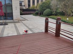 -上海崇明金茂凯悦酒店