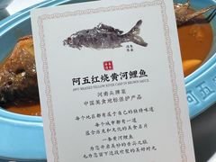 -阿五黄河大鲤鱼(纬三路店)