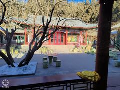 -宫事颐庭·老佛爷贵寿下午茶(颐和园店)