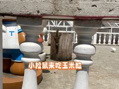 -金庭庄园酒店-停车场