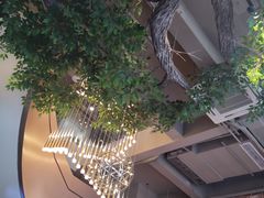 -迪欧咖啡·中西餐融合菜(平江万达旗舰店)