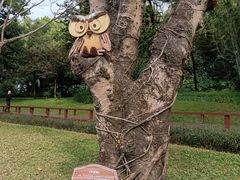 -云溪植物园