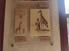 -北京动物园-畅观楼