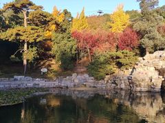 -香山公园
