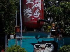 -望湖烤鱼