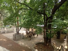-昆明动物园