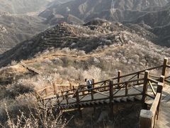 -大岭沟猕猴桃谷风景区