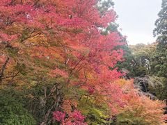 -三千院