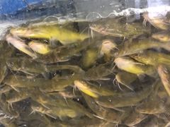 -岳各庄批发市场(西四环中路店)