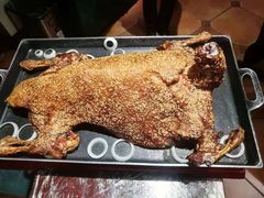 -九十九顶毡房(阜石路店)